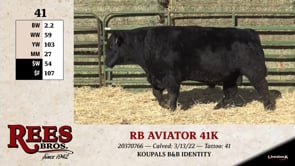 Lot #41 - RB AVIATOR 41K