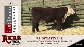 Lot #34 - RB DYNASTY 34K