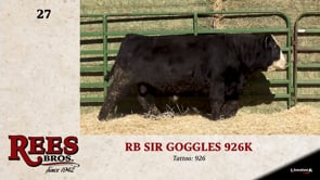 Lot #27 - RB SIR GOGGLES 926K