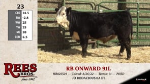Lot #23 - RB ONWARD 91L