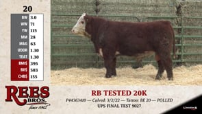 Lot #20 - RB TESTED 20K