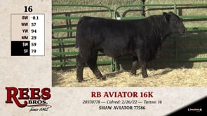 Lot #16 - RB AVIATOR 16K
