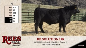 Lot #4 - RB SOLUTION 17K