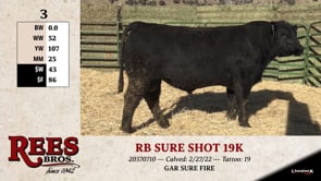 Lot #3 - RB SURE SHOT 19K