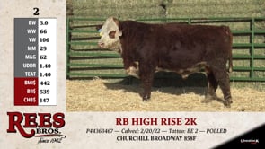 Lot #2 - RB HIGH RISE 2K