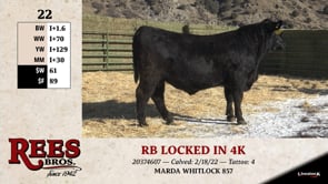 Lot #22 - RB LOCKED IN 4K