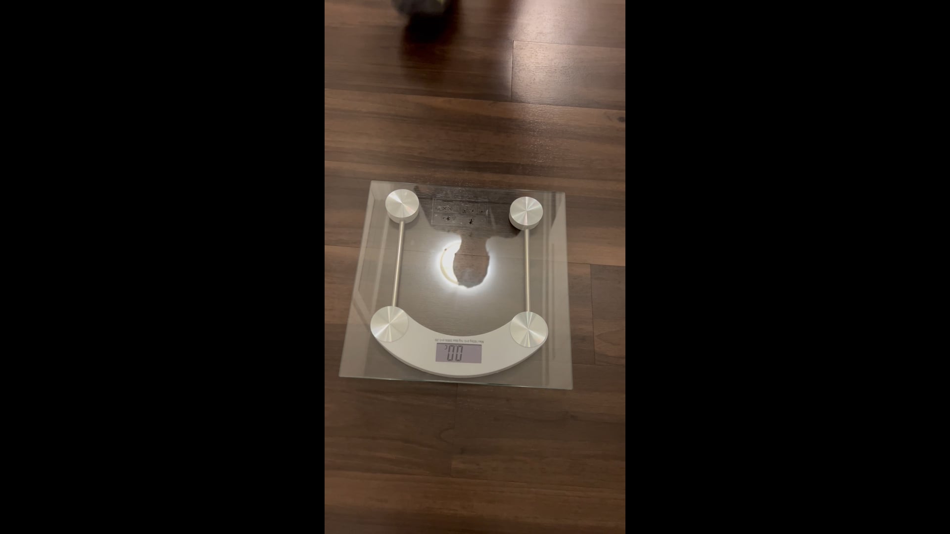 Watch hunter moser's Weight: 189.4 pounds