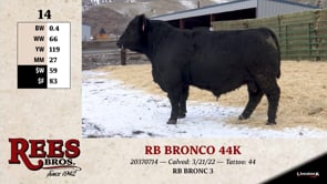 Lot #14A - RB BRONCO 44K