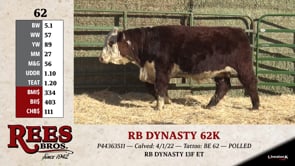 Lot #62 - RB DYNASTY 62K