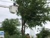WhatsApp Video 2024-01-12 at 10.32.37 PM.mp4