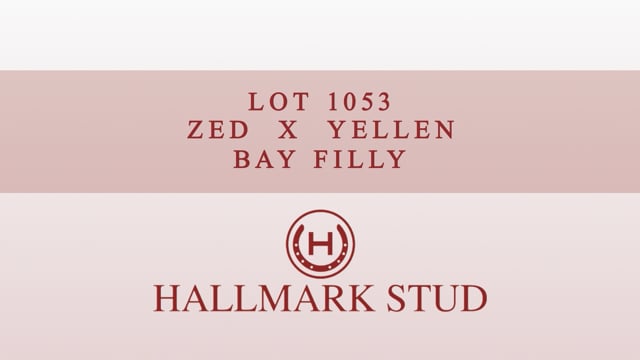 Lot 1053