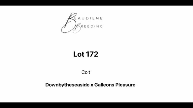 Lot 172