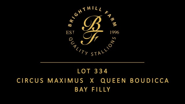 Lot 334