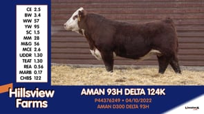 Lot #124K - AMAN 93H DELTA 124K