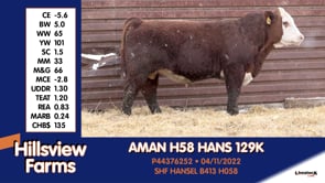Lot #129K - AMAN H58 HANS 129K