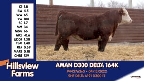 Lot #164K - AMAN D300 DELTA 164K