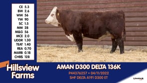 Lot #136K - AMAN D300 DELTA 136K