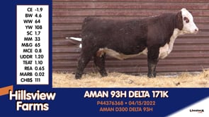 Lot #171K - AMAN 93H DELTA 171K