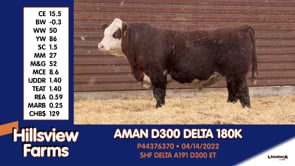 Lot #180K - AMAN D300 DELTA 180K