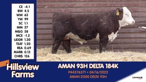 Lot #184K - AMAN 93H DELTA 184K