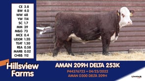 Lot #253K - AMAN 209H DELTA 253K