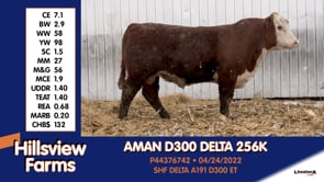 Lot #256K - AMAN D300 DELTA 256K