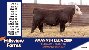 Lot #288K - AMAN 93H DELTA 288K