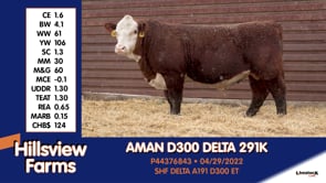 Lot #291K - AMAN D300 DELTA 291K