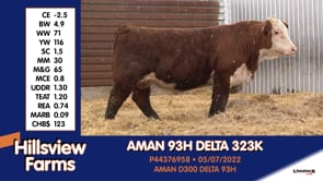 Lot #323K - AMAN 93H DELTA 323K