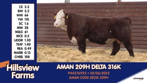 Lot #316K - AMAN 209H DELTA 316K