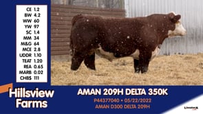 Lot #350K - AMAN 209H DELTA 350K