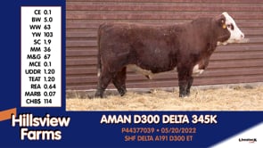 Lot #345K - AMAN D300 DELTA 345K