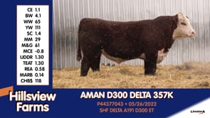 Lot #357K - AMAN D300 DELTA 357K