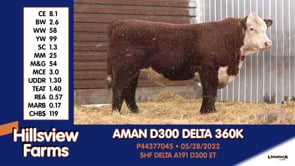 Lot #360K - AMAN D300 DELTA 360K
