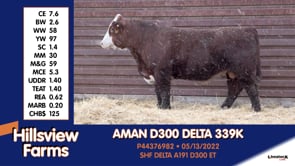 Lot #339K - AMAN D300 DELTA 339K