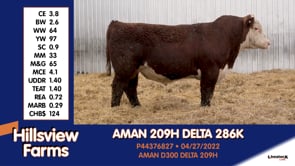 Lot #286K - AMAN 209H DELTA 286K