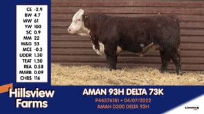Lot #73K - AMAN 93H DELTA 73K
