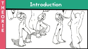 Base d'anatomie 1 - Le torse