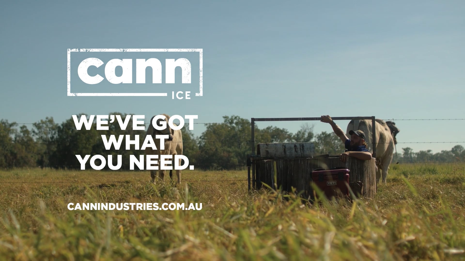 CANN Industries