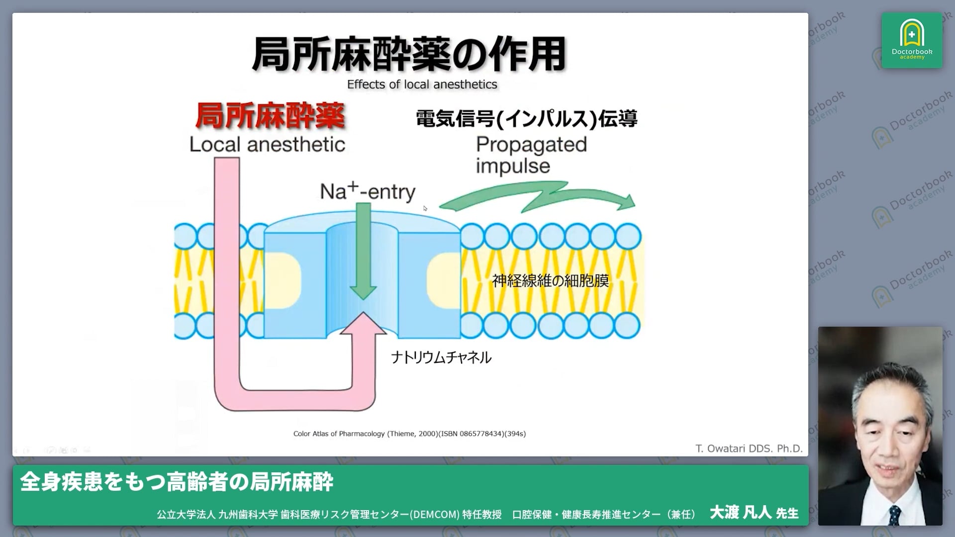 3.局所麻酔薬の基礎