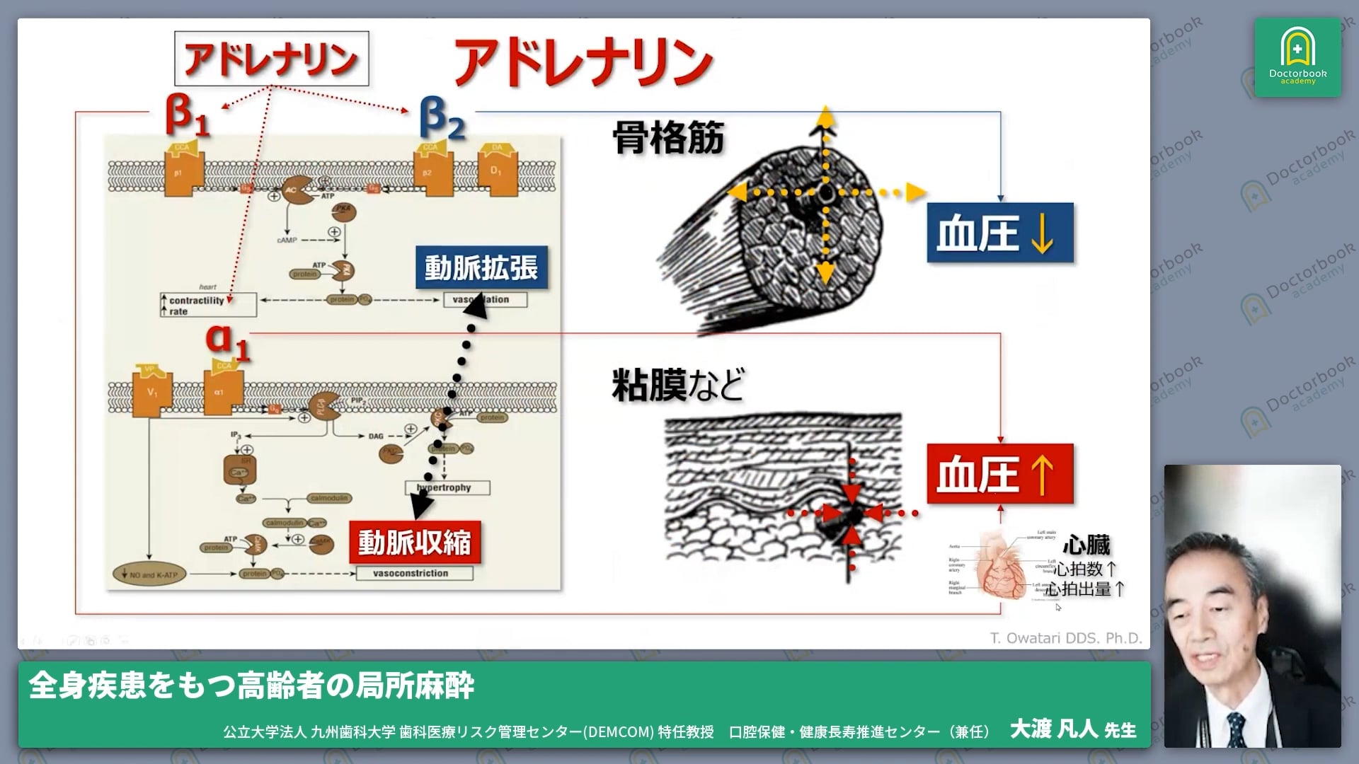 4.局所麻酔の問題点