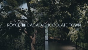 ROYCE' CACAO&CHOCOLATE TOWN