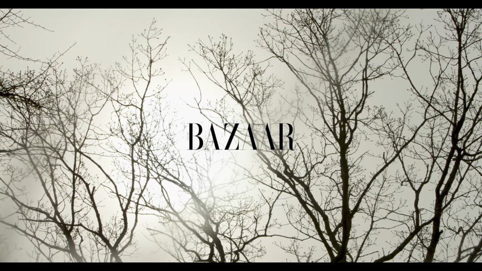 Preview image for video HARPERS_BAZAAR_julia_jamin_FULL