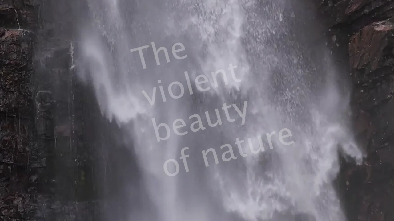 the fall on Vimeo