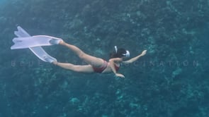 2421_Girl skin diving along coral reef with vintage oval dive mask and red swimsuit