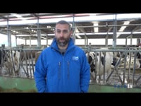 MSD en Ganadería Queirugueira con Lely