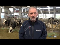 Clun en Ganadería Queirugueira con Lely