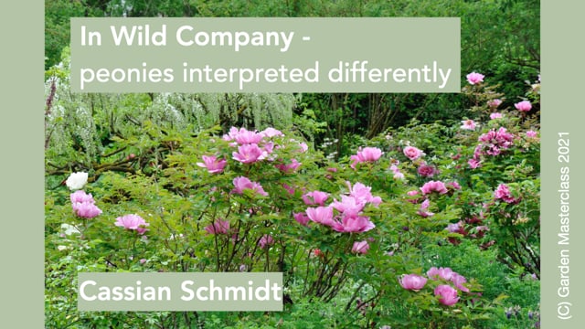 Cassian Schmidt - In wild company - peonies interpreted differently