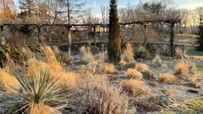 Chris Fehlhaber –  Winter - The Backbone of the Garden