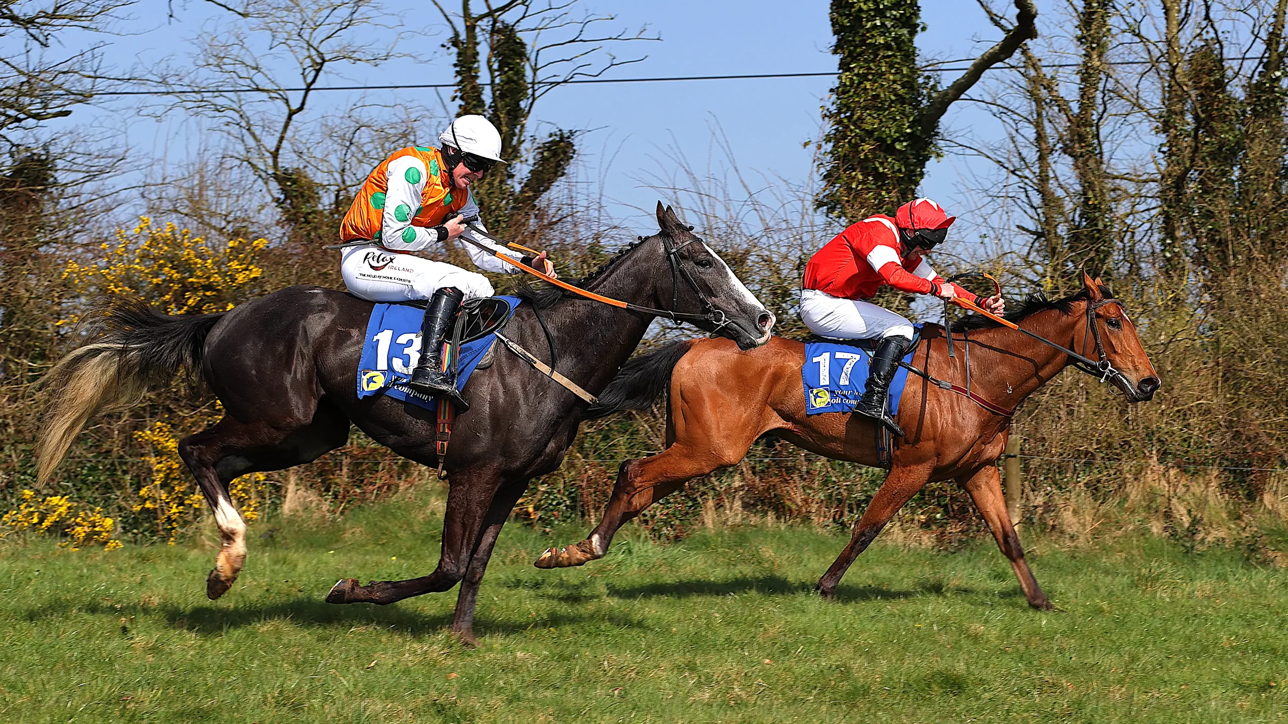 Point to Point Horse Race at Ballynoe on Vimeo